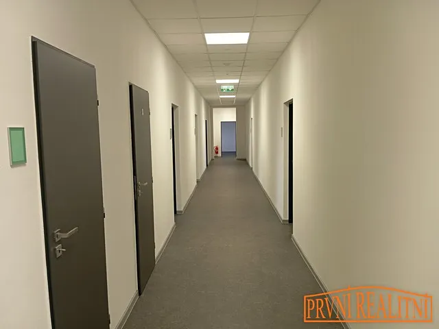 Fotka 11 z 12
